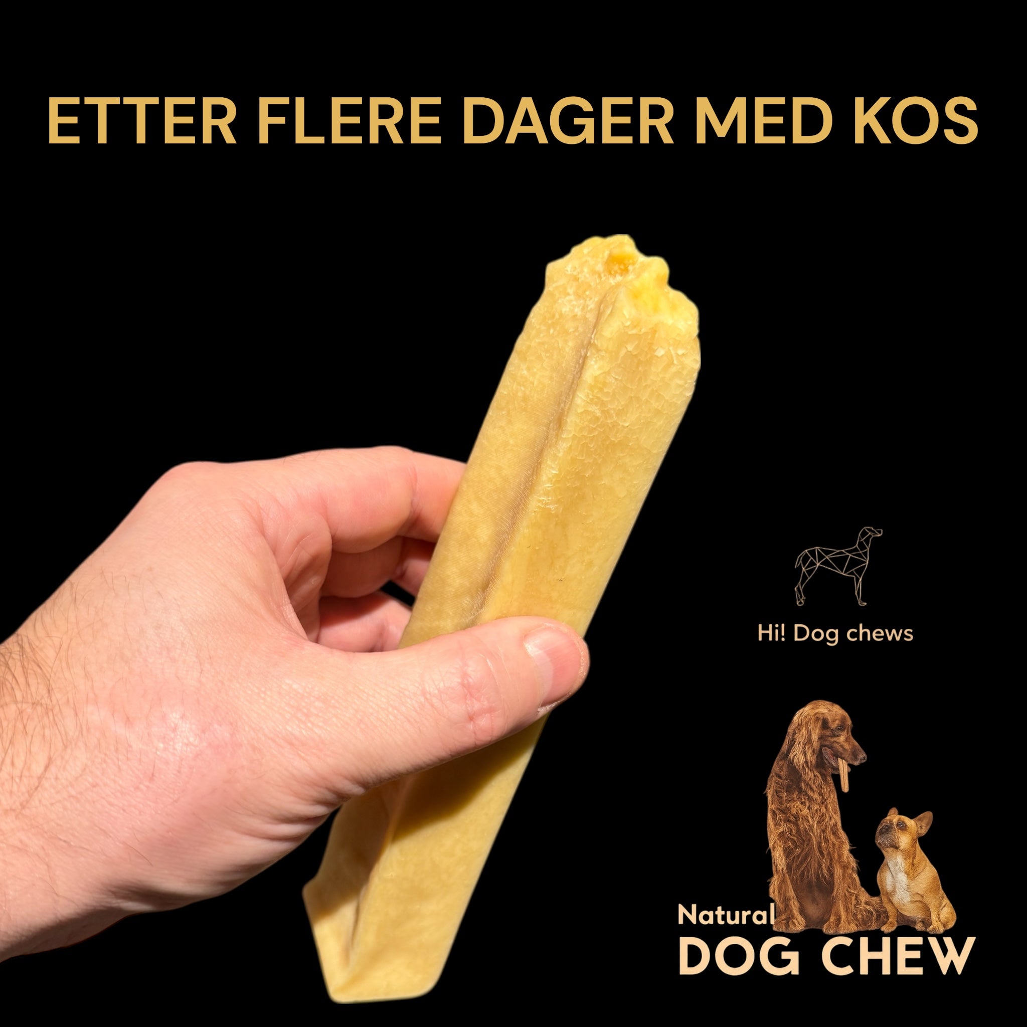 Hi! Dog Chews – Smaksatte ostetygger til hund (Dill & Gurkemeie, S–XL)