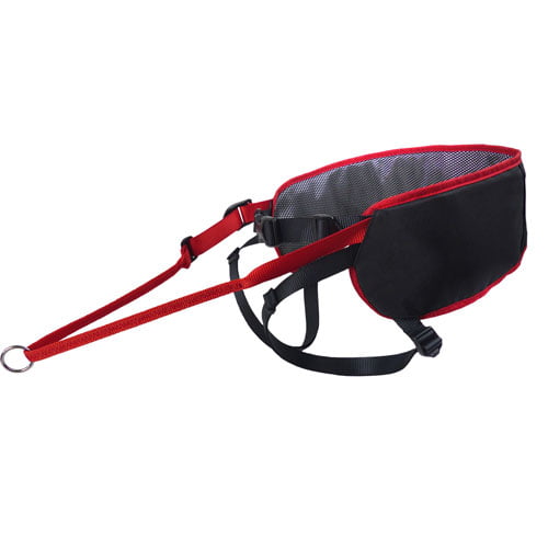 Ludus Performance trekkbelte