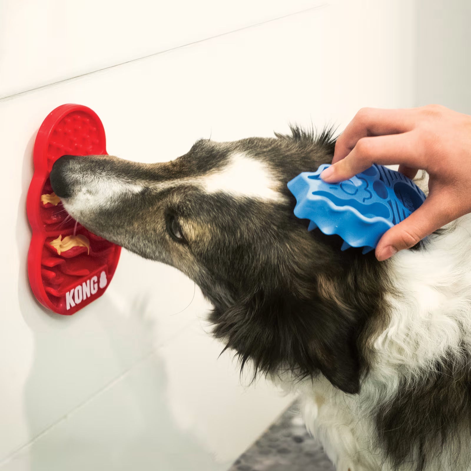 KONG Licks slikkematte til hund – med sugekopper