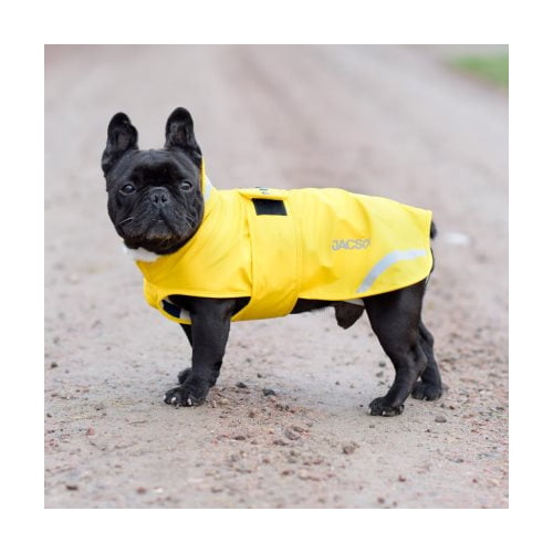 Regndekken til hund – Jacson