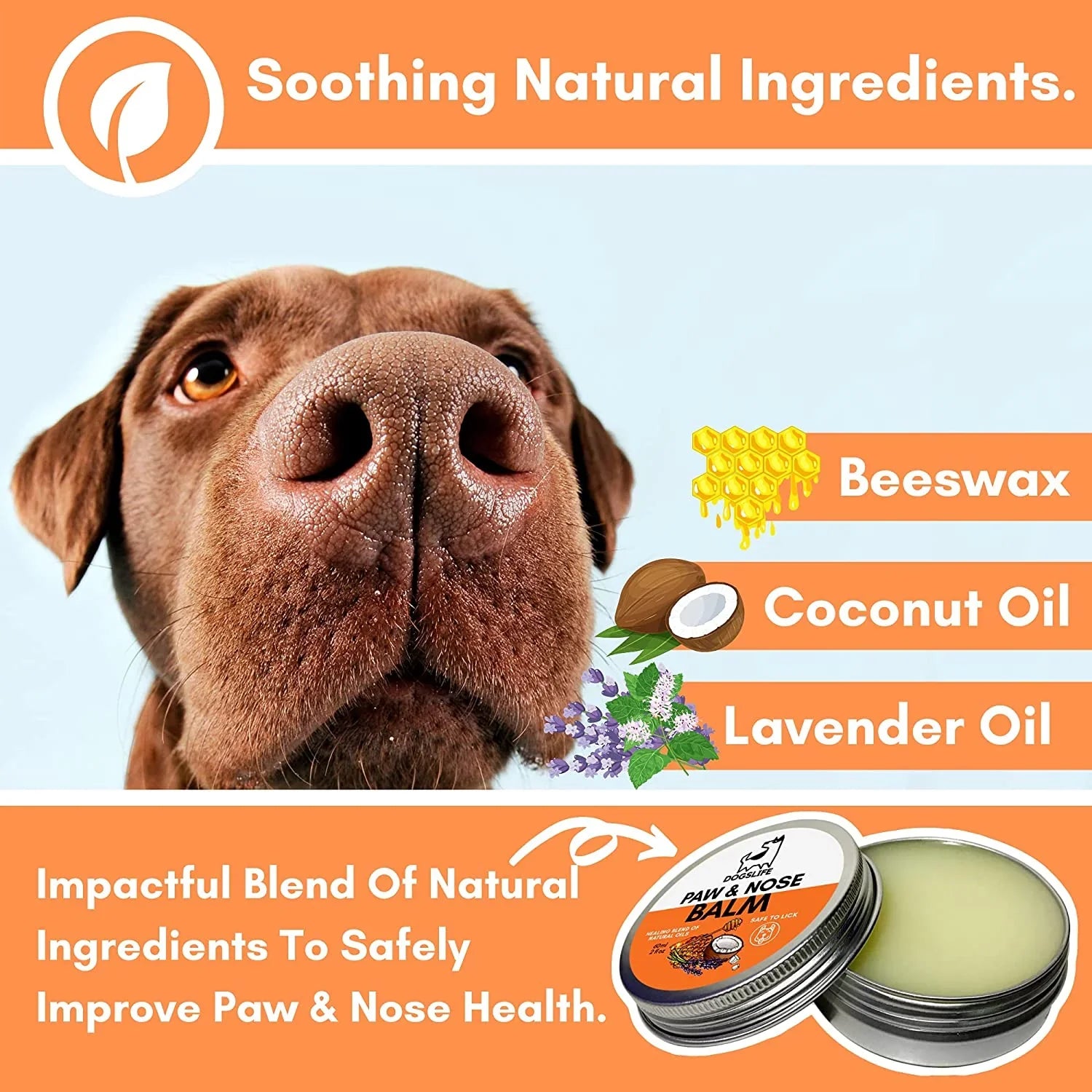 Potesalve og snutesalve til hund – OurPetsLife 60 ml