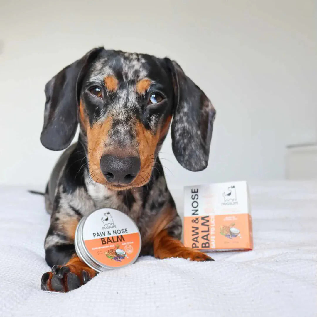 Potesalve og snutesalve til hund – OurPetsLife 60 ml