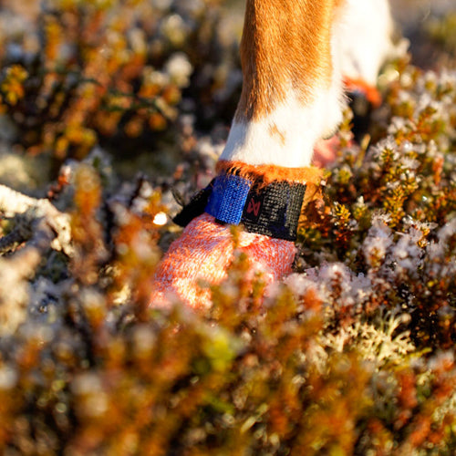 Protector Light Socks fra Non-Stop av antikuttmateriale