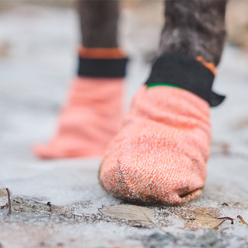 Miljøfoto av protector light socks vist nærbilde av poter.