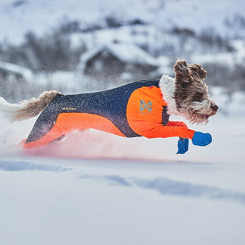 Heldress til hund – Non-Stop Protector Snow