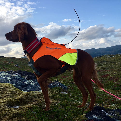 Non-stop Protector GPS vest