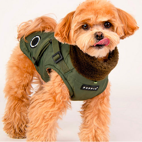 Produktbilde av Puppia Donovan dekken med sele