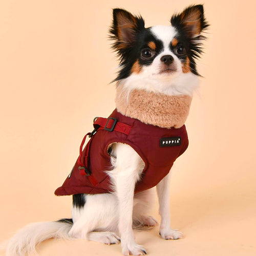 Produktbilde av Puppia Donovan dekken med sele