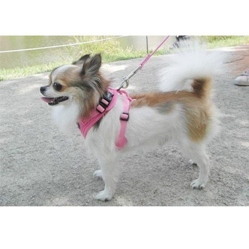 Puppia Ritefit hundesele - rosa