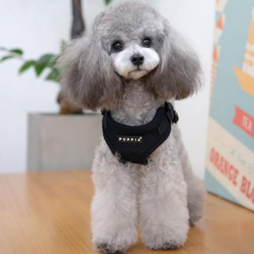 Puppia Soft C hundesele - svart