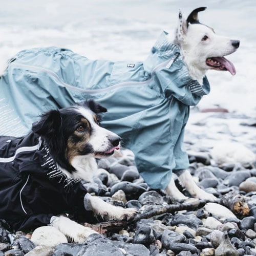 Hurtta Rain Blocker – regndekken til hund