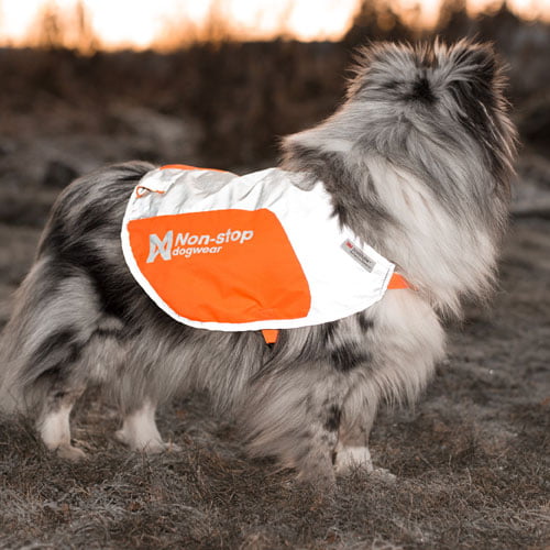 Refleksdekken fra Non-stop