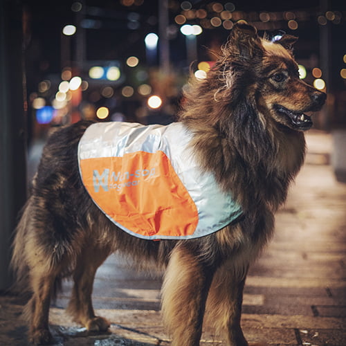 Refleksdekken fra Non-stop