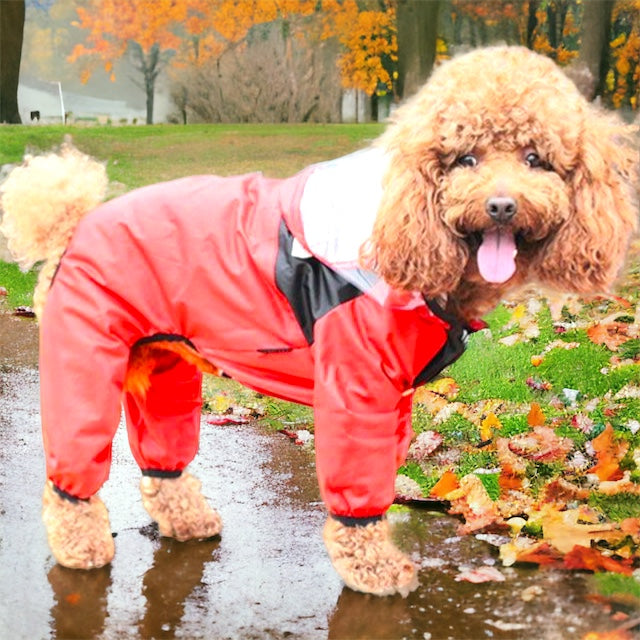 Regndress til hund – vanntett dress med hette og justerbar passform