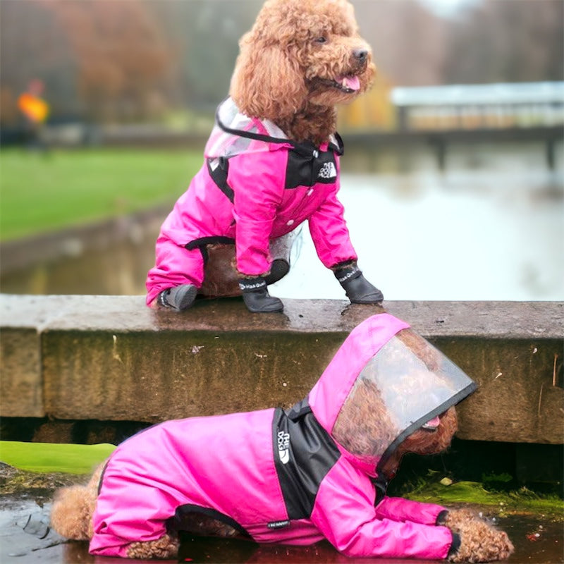 Regndress til hund – vanntett dress med hette og justerbar passform