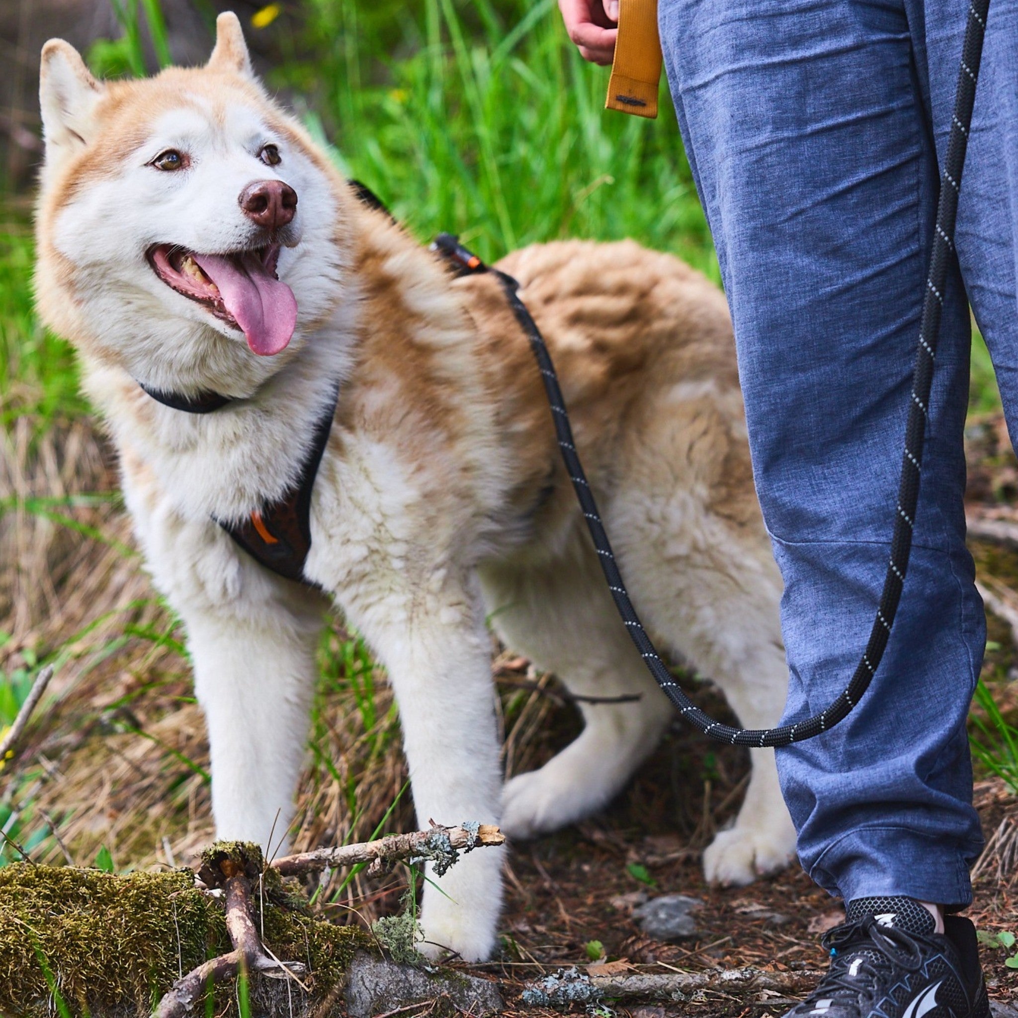 Non-Stop Dogwear Rock justerbart kobbel 2,3 m svart