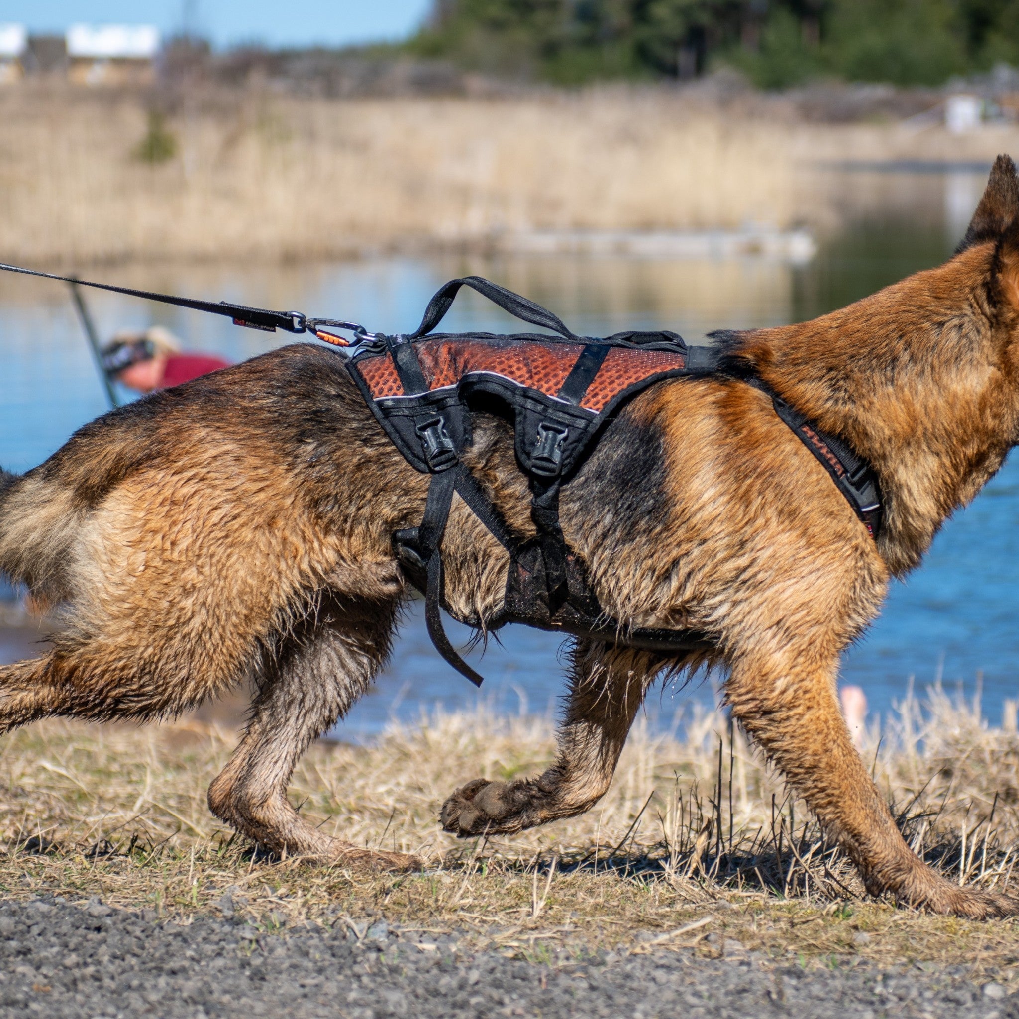 Non-stop Rock Harness Long – trekksele med håndtak