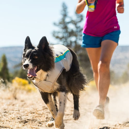 Ruffwear Swamp Cooler - Kjøledekken til hund