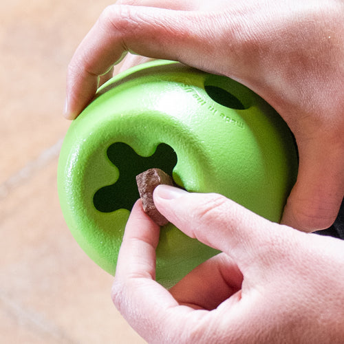 Miljøfoto av hånd som putter godbiter i Rumbl