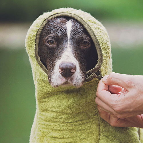 Tørkedekken til hund – SICCARO WetDog SupremePro Bamboo