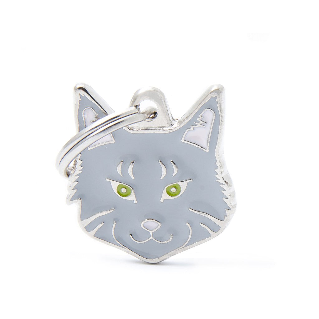 Friends - Silver Maine Coon