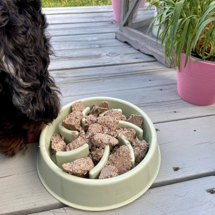 Slow Feeder - Hund som spiser fort -Mat til aktivitet - Hundevennen
