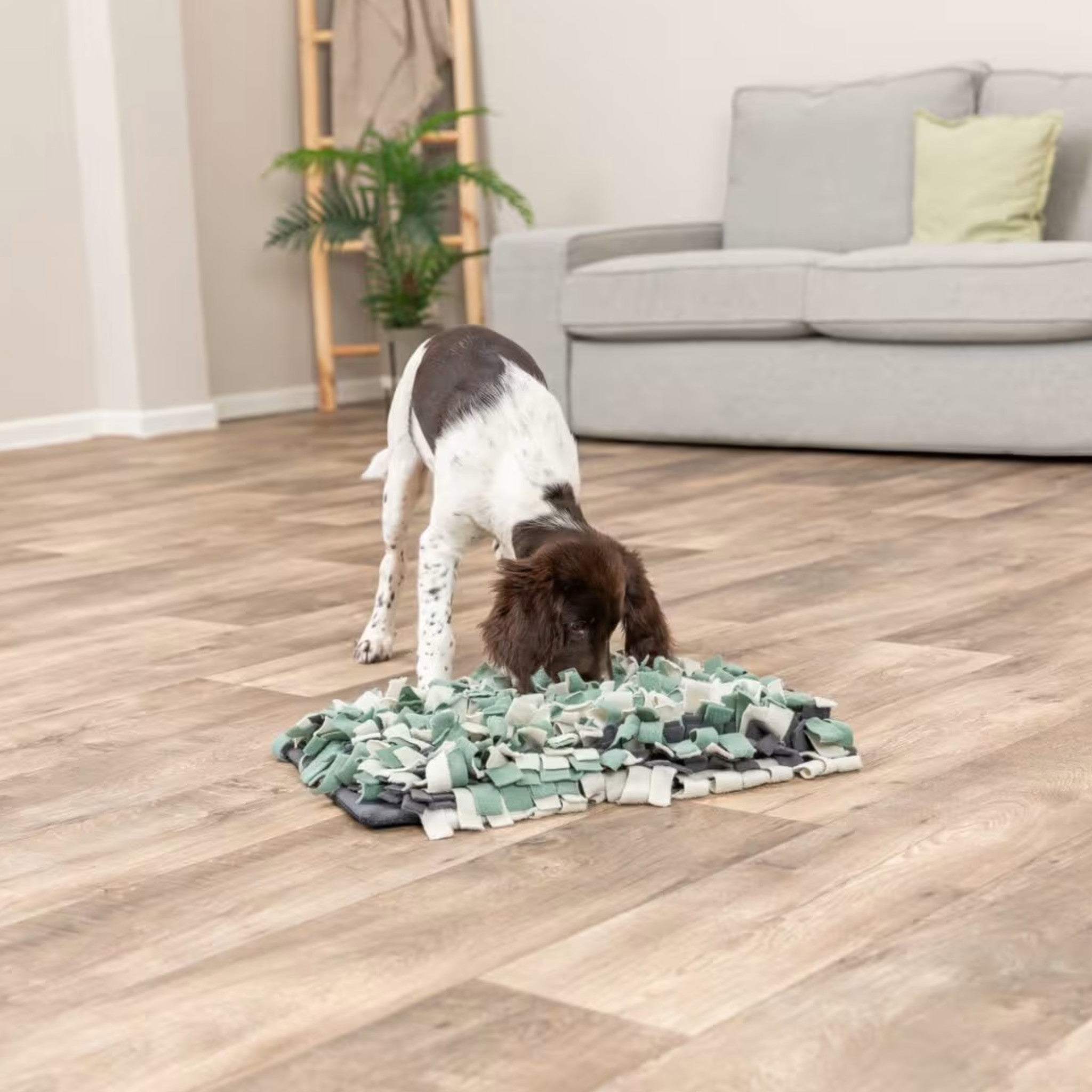Snuseteppe til hund og katt – Trixie Sniffing Carpet