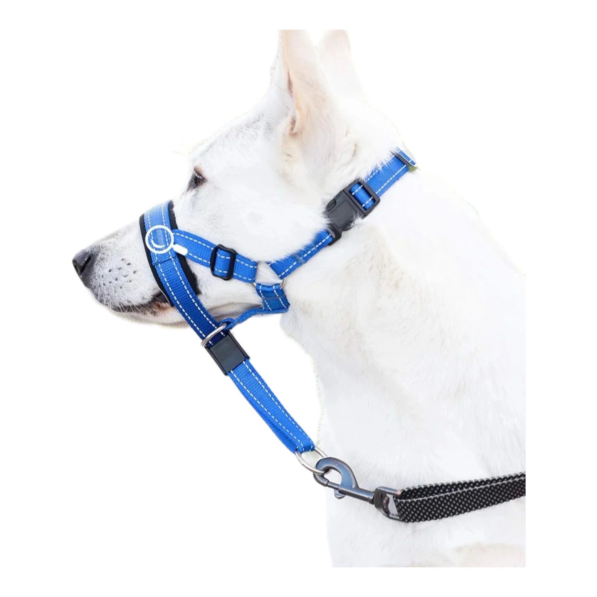 Snutesele til hund – justerbar grime for bedre kontroll