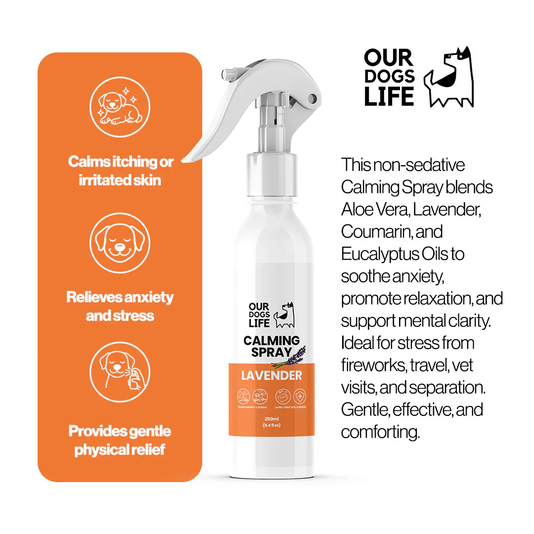 Beroligende spray til hund – OurPetsLife 250 ml
