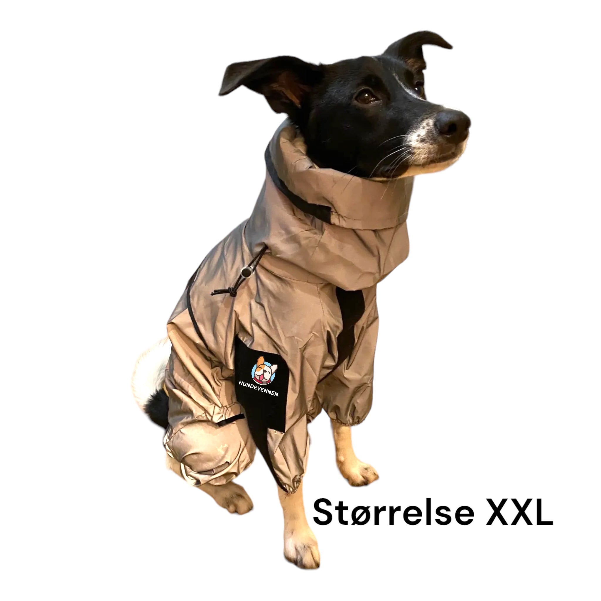 Vanntett heldress til hund som holder pelsen tørr