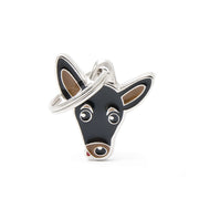 Friends - Pinscher