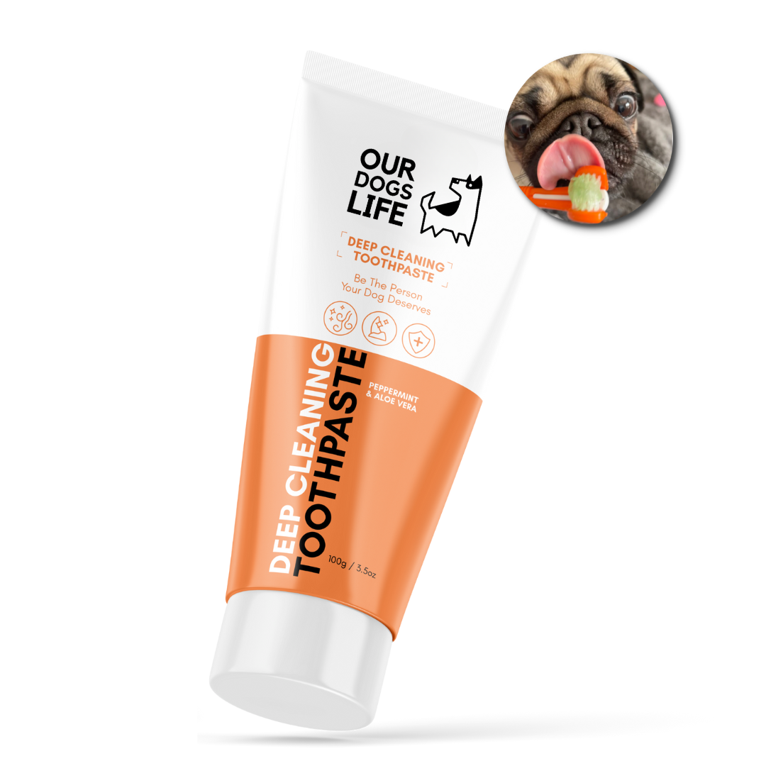 Tannkrem til hund mint og aloe vera 90 g