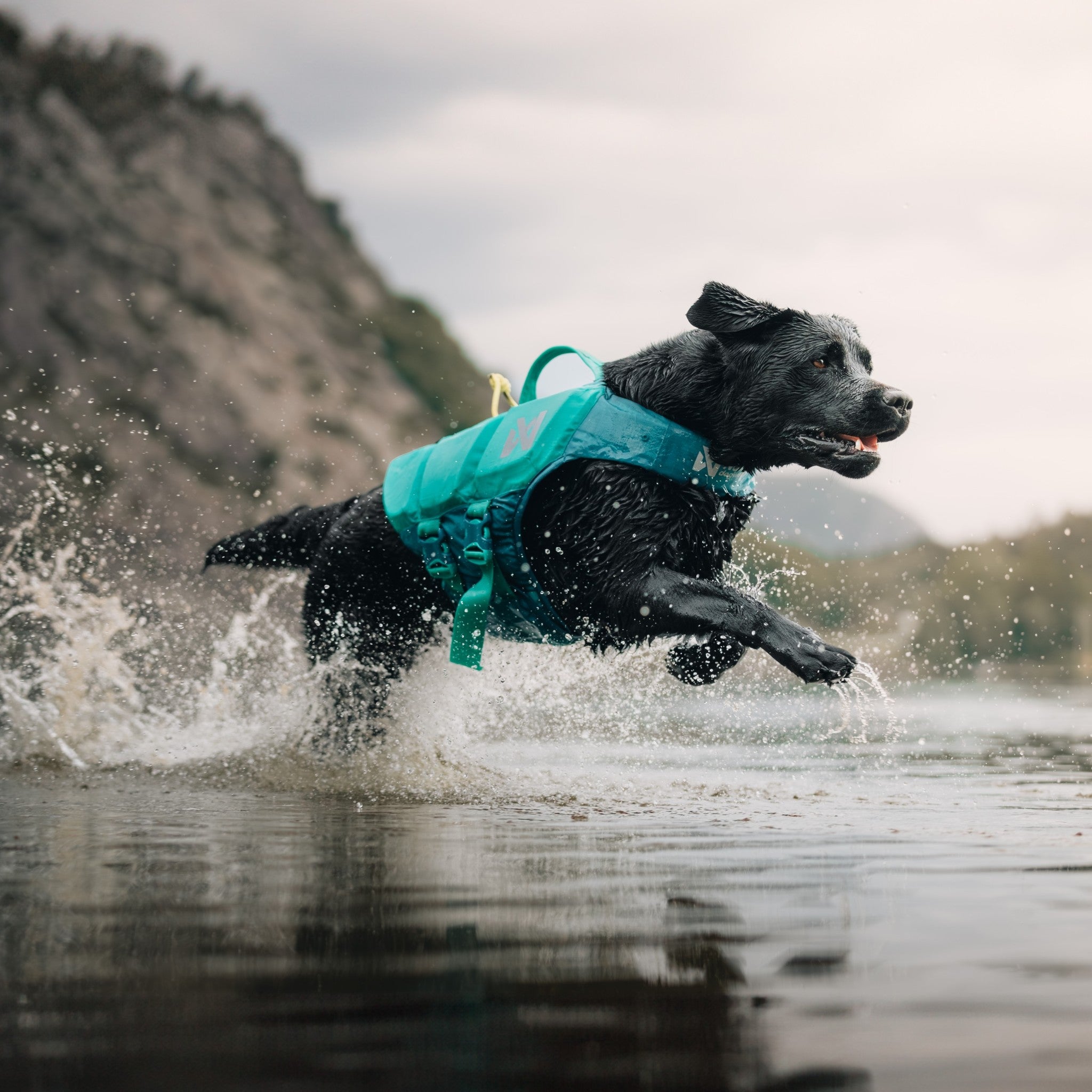 Redningsvest til hund – Non-stop Protector Life Jacket