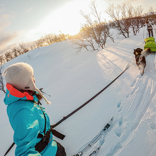 Touring Bungee 23mm – elastisk hundekobbel fra Non-Stop