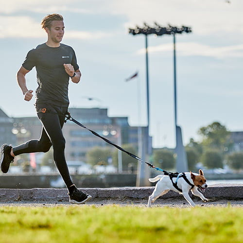 Touring Bungee 13mm – smalt elastisk hundekobbel fra Non-Stopp