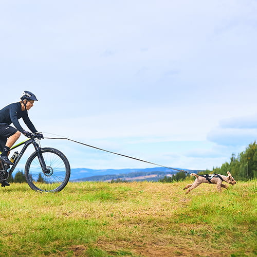 Touring Bungee 13mm – smalt elastisk hundekobbel fra Non-Stopp