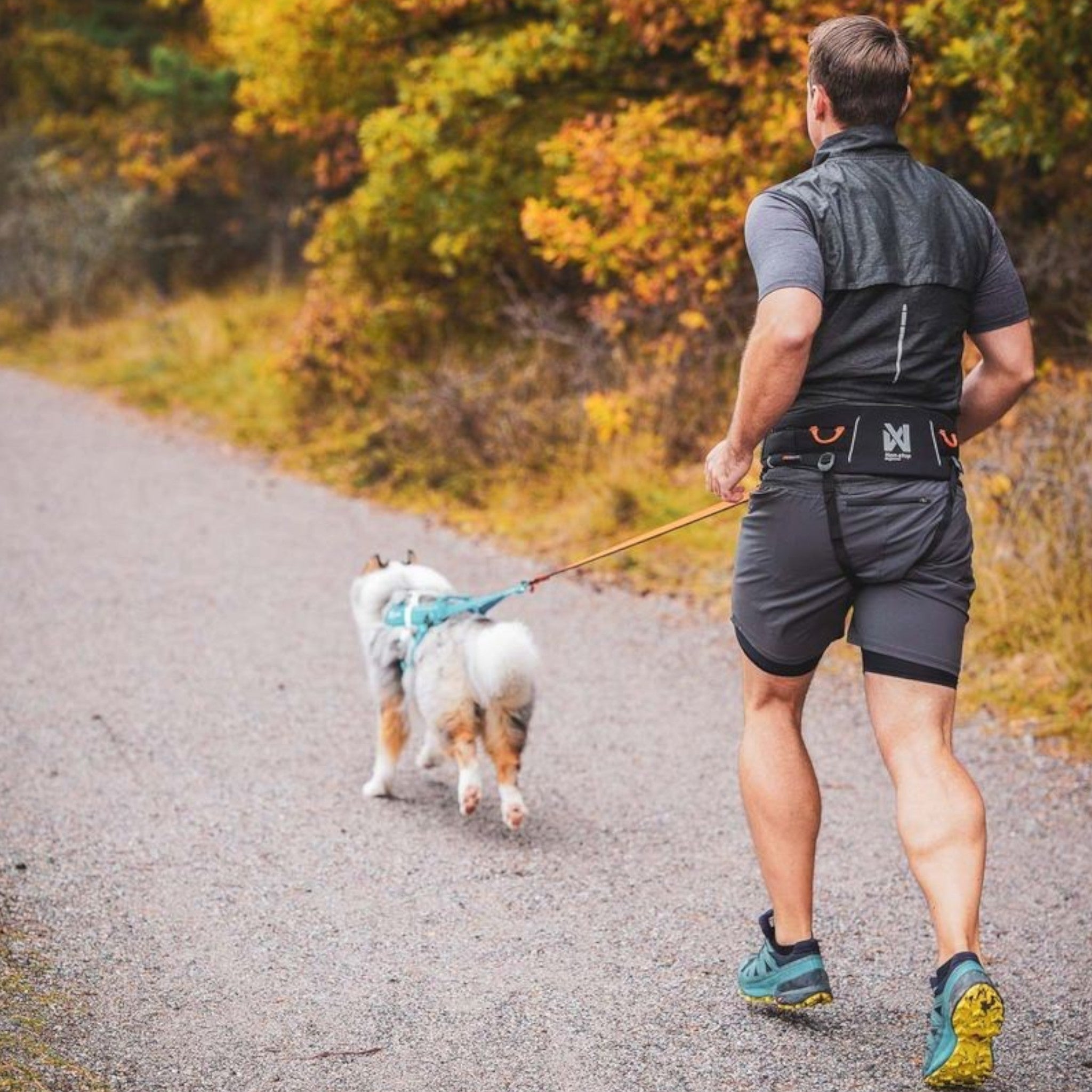 Trekkingbelte til hund – Non-stop Trekking Belt 2.0