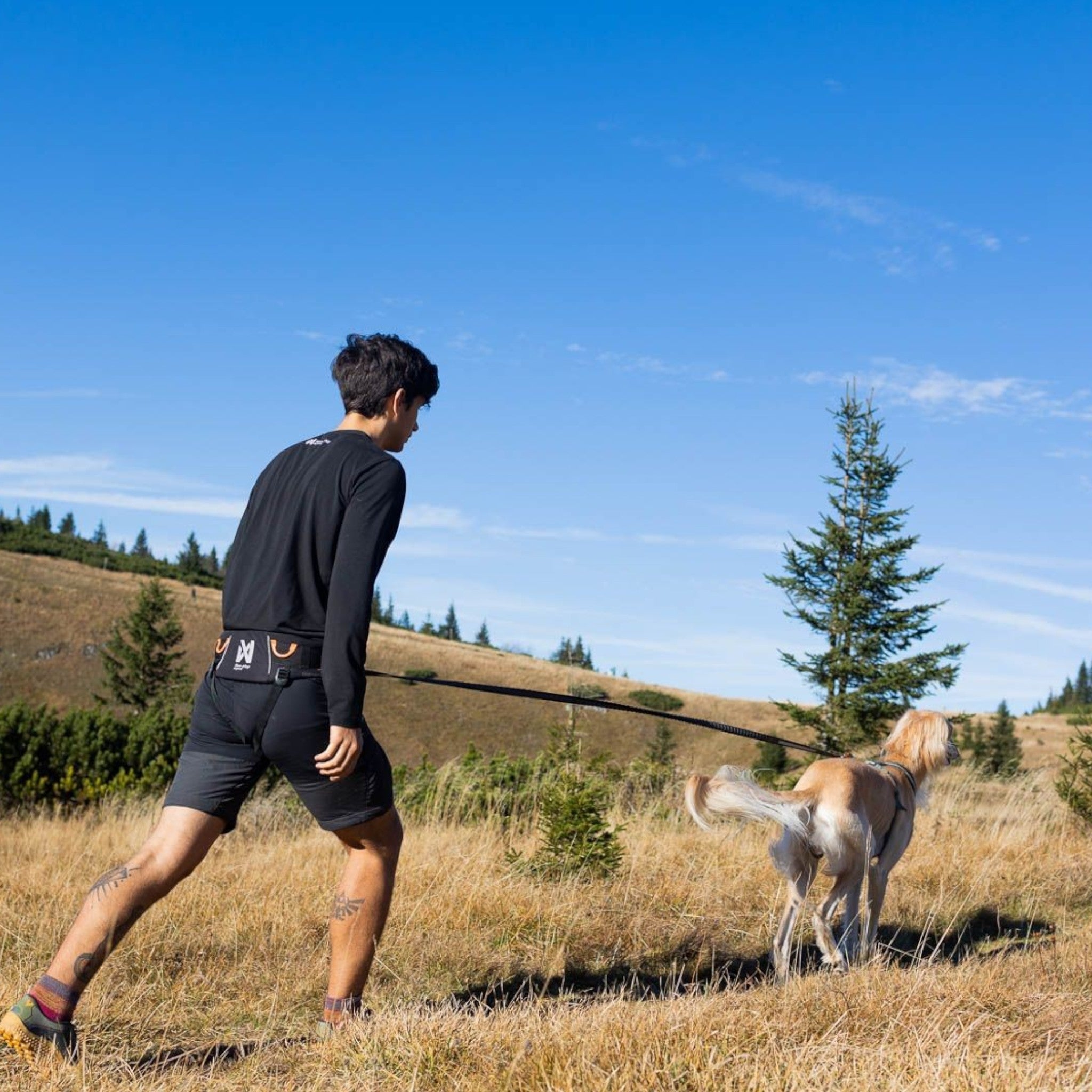Trekkingbelte til hund – Non-stop Trekking Belt 2.0