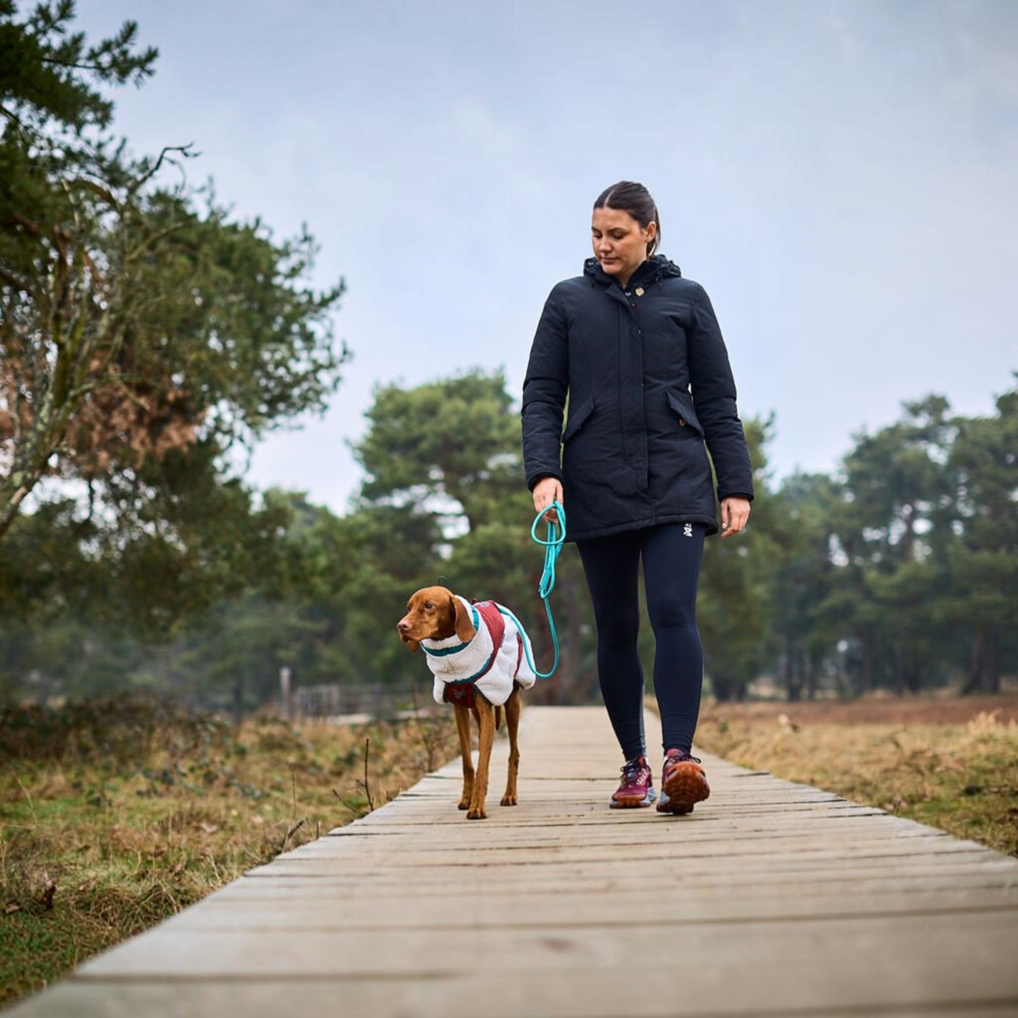 Non-Stop Dogwear Trekking rope leash