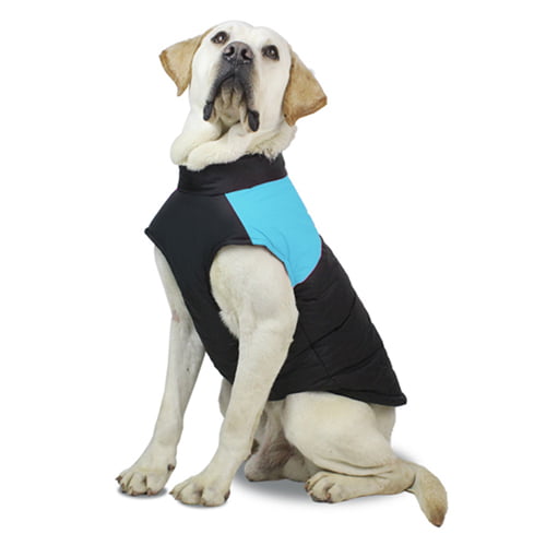 Vest for hund – svart/blå, vannavvisende og lett fôret