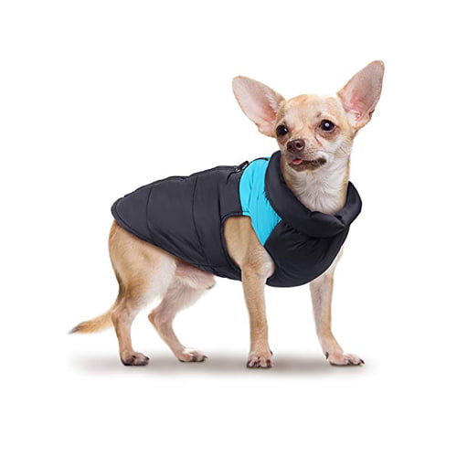 Vest for hund – svart/blå, vannavvisende og lett fôret