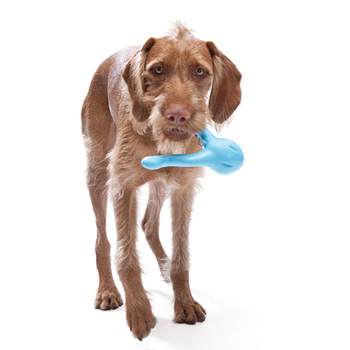 Tizzi Dog Toy - hundeleke fra West Paw