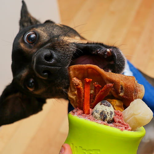 Toppl Treat Toy – populær hundeleke fra West Paw