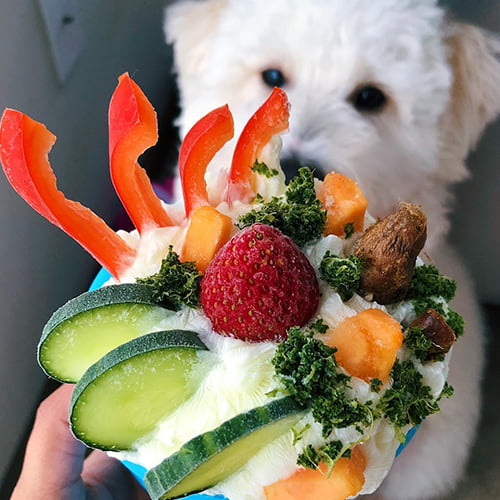 Toppl Treat Toy – populær hundeleke fra West Paw