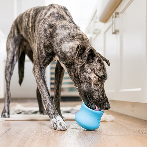 Toppl Treat Toy – populær hundeleke fra West Paw