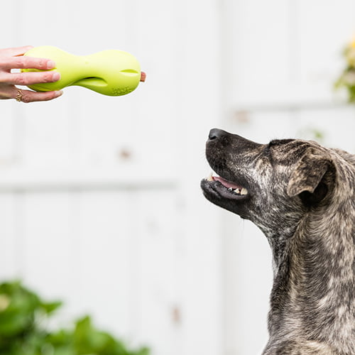 Qwizl Treat Toy – hundeleke fra West Paw