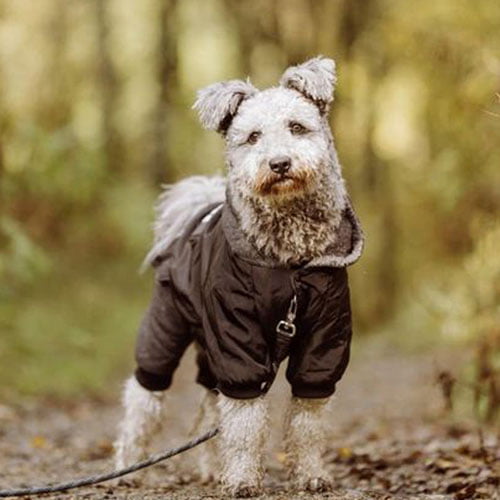 Heldress - Jakke og Bukse i én