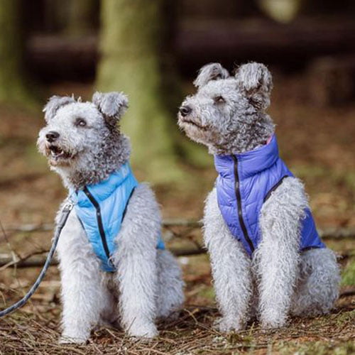Airy Vest vendbart hundedekken Rosa/Lilla