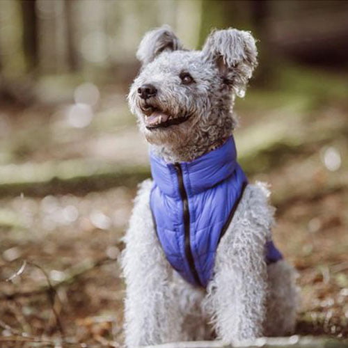 Airy Vest vendbart hundedekken Rosa/Lilla