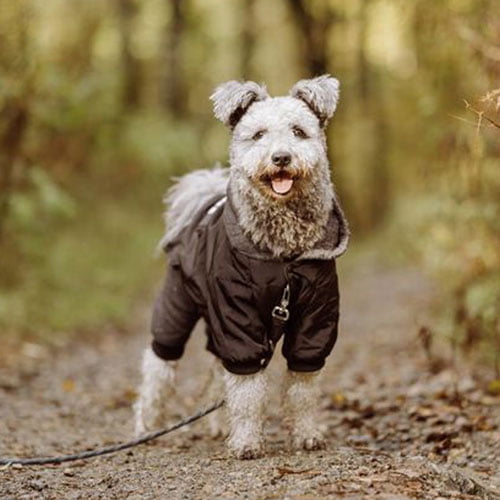 Heldress - Jakke og Bukse i én
